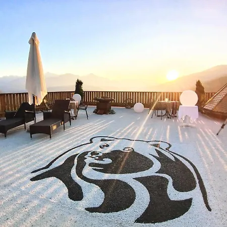 Baerenhotel 5*